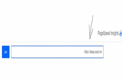 ادخال رابط موقعنا في اداه pagespeed insights